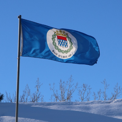 2021-02-11_1541-c95-flag_sq.jpg